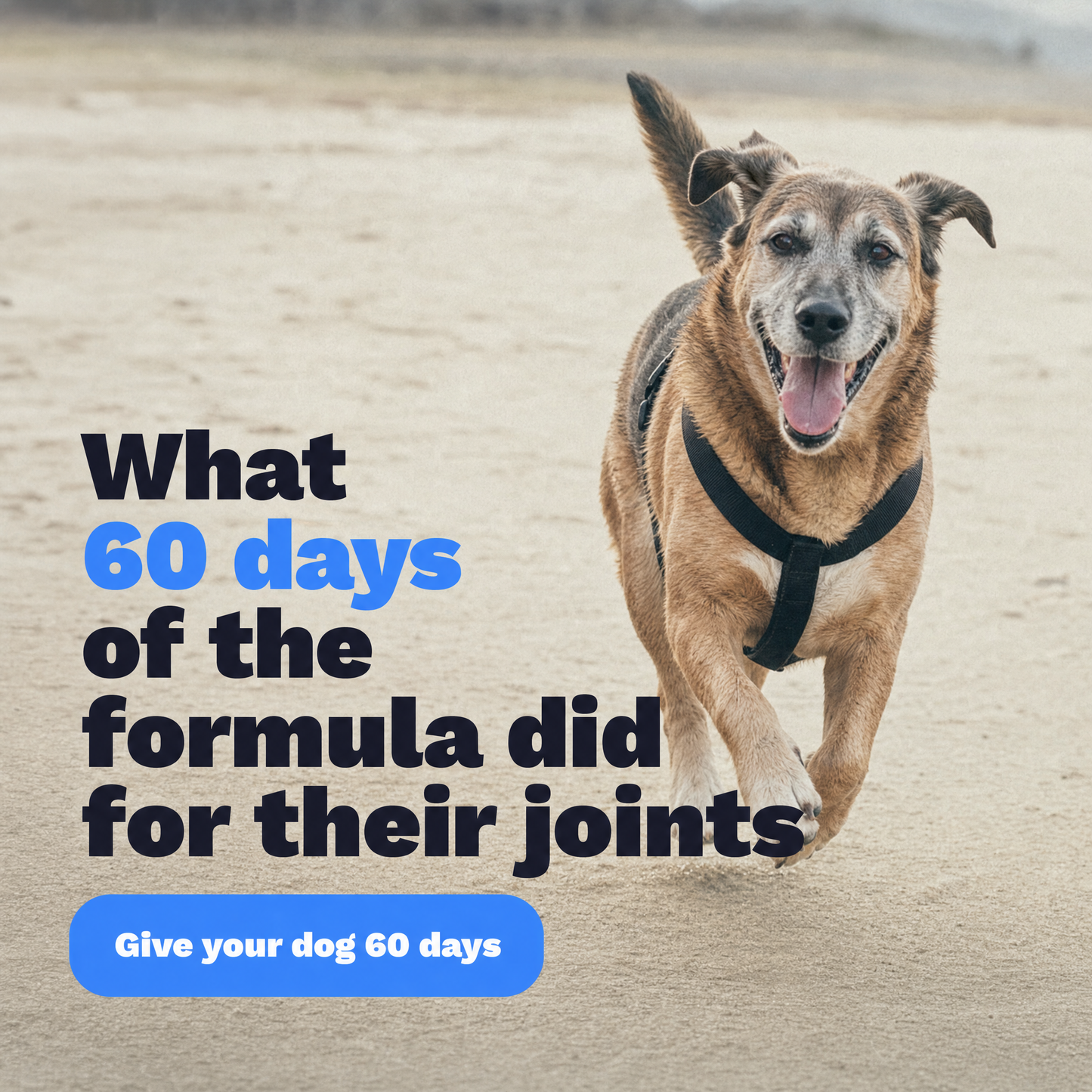 Larpaw Premium Liquid Collagen