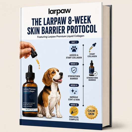 14-Day Skin Barrier Protocol