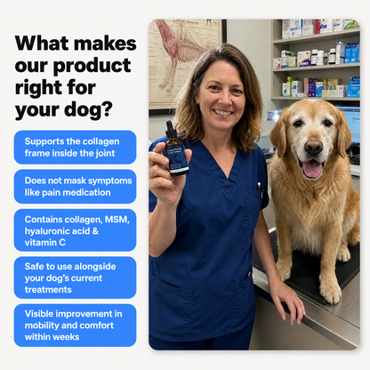 Larpaw Premium Liquid Collagen