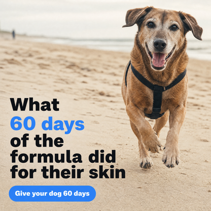 Larpaw Liquid Collagen