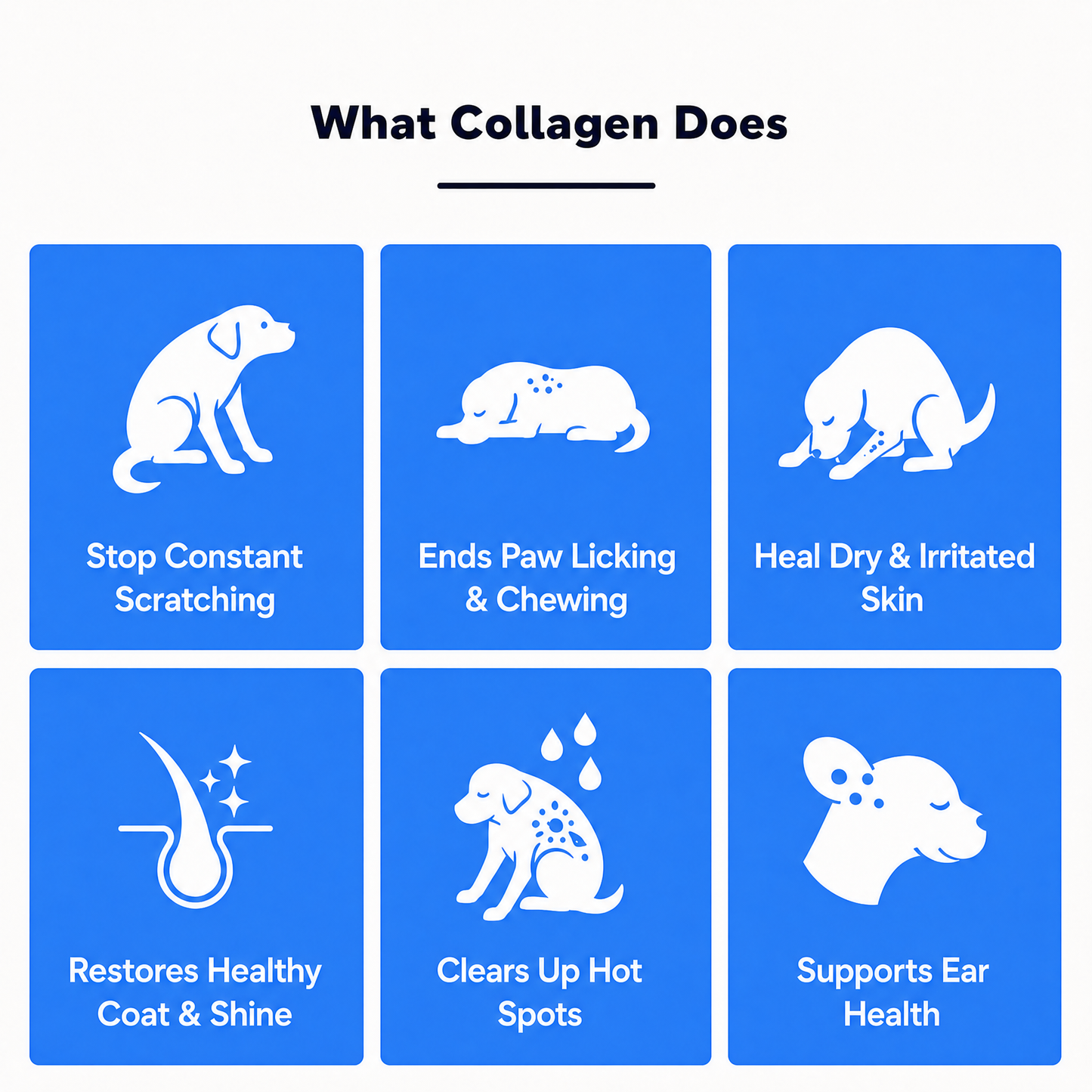 Larpaw Liquid Collagen