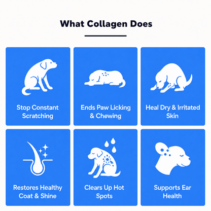 Larpaw Liquid Collagen