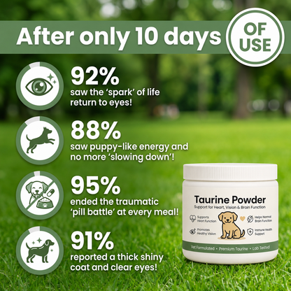 Larpaw Dog Taurine Powder